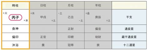 時 柱|四柱推命の【時柱】とは？意味・子孫運・何歳の運勢。